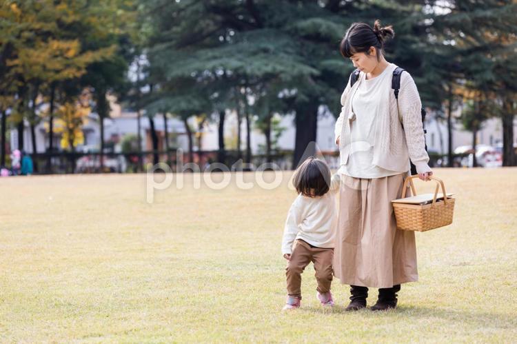 秋の公園で遊ぶママと子供 ピクニック,子供,親子の写真素材