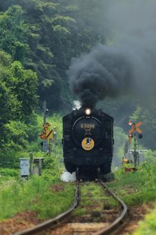 SLやまぐち号 D51 SLやまぐち号 D51の写真