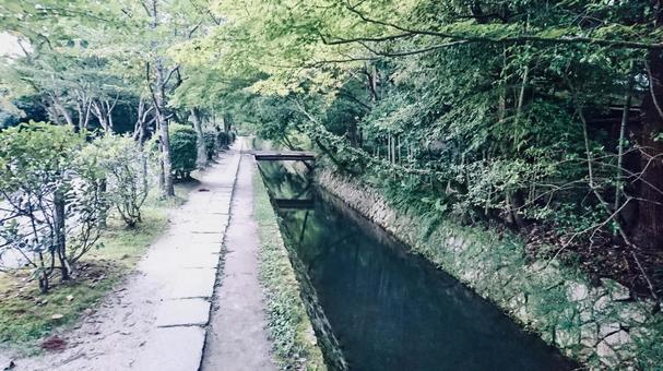 哲学の道の写真