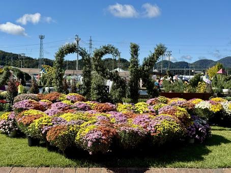 秋の武生中央公園 モニュメント,菊人形,菊祭の写真素材