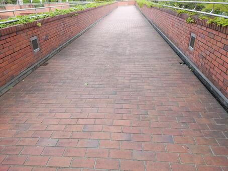 公園の歩道 公園の歩道の写真