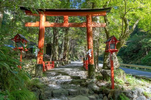 京都 貴船神社 奥宮 大鳥居 京都 貴船神社 奥宮 大鳥居 貴船神社,貴船,神社の写真素材