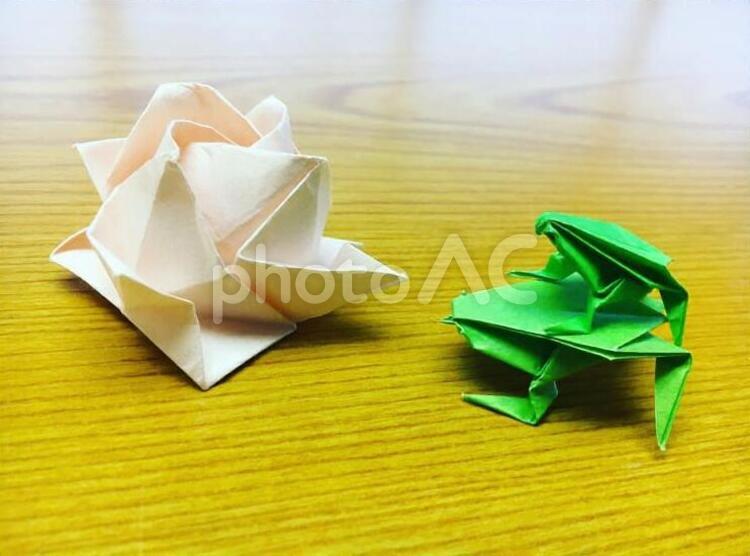 折り紙で折る花とカエルの親子 折り紙,紙,自然の写真素材