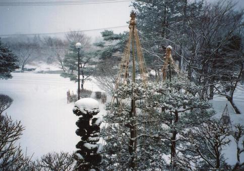 窓から見る雪景色02 窓から見る雪景色02 雪吊り,冬支度,こも掛けの写真素材