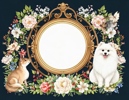 ポメラニアンと花のフレームの写真