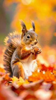 どんぐりを持つ秋の紅葉の中のエゾリス どんぐりを持つ秋の紅葉の中のエゾリスの写真