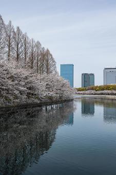 景色風景 景色風景の写真