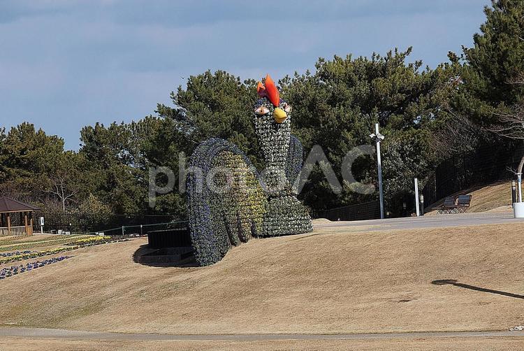 国営明石海峡公園37　鶏のモニュメント 兵庫県,淡路島,国営明石海峡公園の写真素材