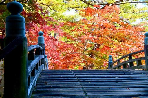 ひょうたん池にかかる橋と紅葉 ひょうたん池にかかる橋と紅葉の写真