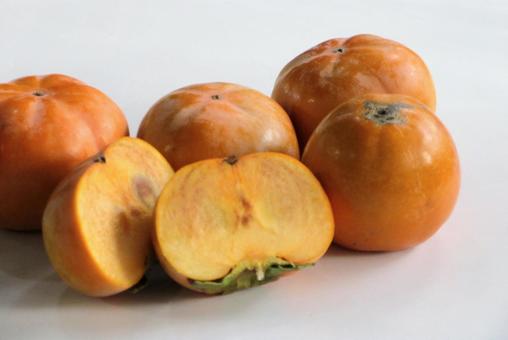 秋の味覚柿 柿,秋の味覚,果物の写真素材