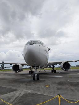 飛行機の顔 ブルーインパルス,日本,防衛省の写真素材