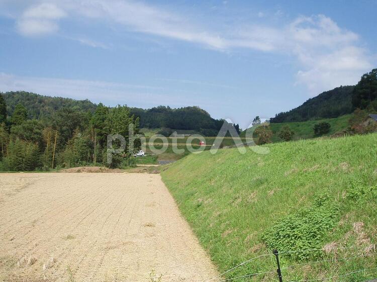 田んぼ　稲刈り後 田んぼ,田,畑の写真素材