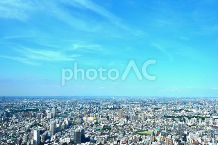 ビルと青空　都会と青空 大都会,ビル,都市風景の写真素材