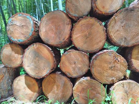 Pile of logs_3, JPG Pile of logs_3, JPG
