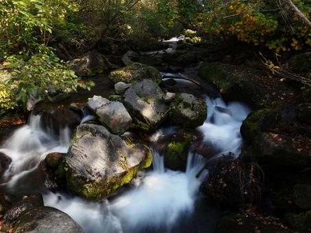 沢（火打山） 沢,川,水の写真素材