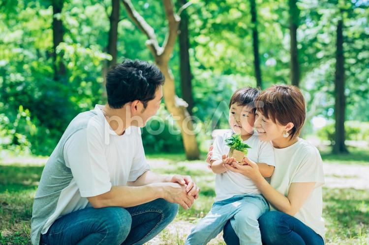 森の中を探検する親子  育児,リンクコーデ,子育ての写真素材