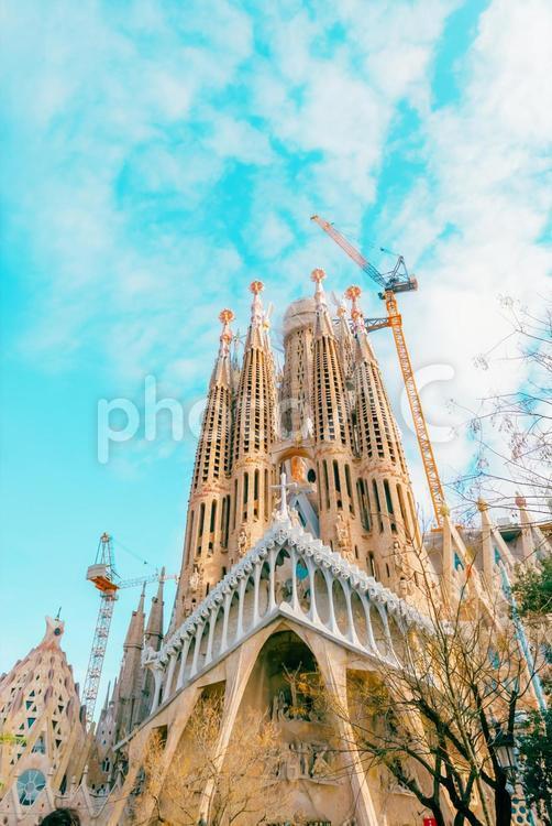 【スペイン】サクラダファミリア スペイン,バルセロナ,サクラダファミリアの写真素材