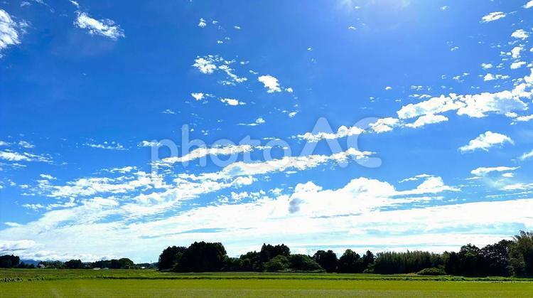 初夏の田園風景 初夏,田んぼ,青い空の写真素材