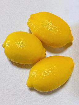 レモン レモン,檸檬,柑橘類の写真素材