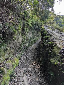 鋸山より 山道,木々,自然の写真素材