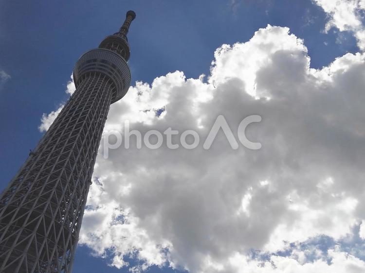 青い空と白い雲ととうきょうスカイツリー とうきょうスカイツリー,青空,白い雲の写真素材