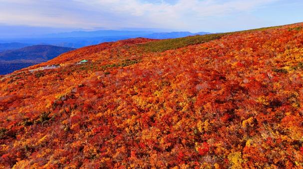 神の絨毯と奥羽山脈 神の絨毯と奥羽山脈 山,秋,紅葉の写真素材
