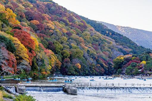 京都　嵐山　桂川　紅葉 嵐山,紅葉,桂川の写真素材