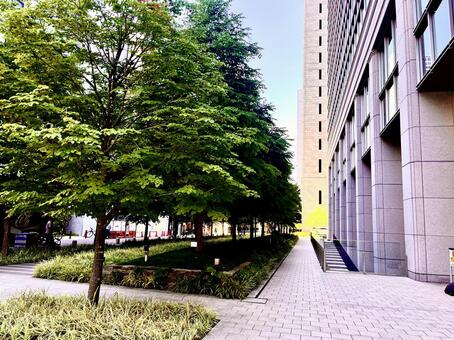 都市の街並 都市の街並,メトロ,建物の写真素材