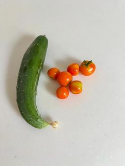 夏野菜 夏野菜の写真