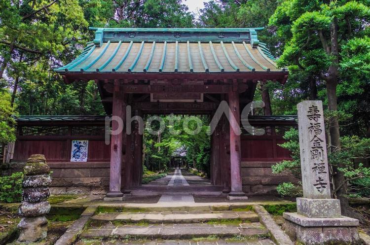 【神奈川県】北鎌倉の明月院(紫陽花寺) 明月院,北鎌倉,鎌倉の写真素材