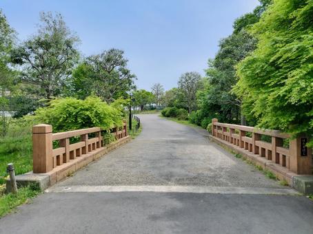 偕楽園公園の蛍橋 偕楽園公園の蛍橋 偕楽園公園,蛍橋,茨城県の写真素材