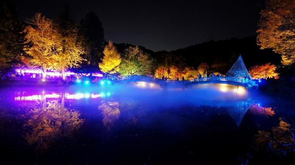 紅葉-1335 紅葉,ライトアップ,夜景の写真素材