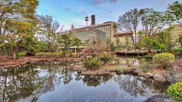 国会議事堂前庭 国会議事堂前庭 公園,国会議事堂前庭,オアシスの写真素材