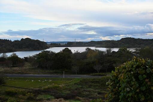 化女沼の遠望 自然,風景,化女沼の写真素材