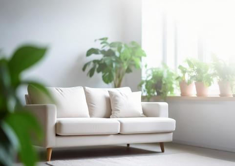 観葉植物に囲まれたソファのあるリビング 観葉植物に囲まれたソファのあるリビングの写真