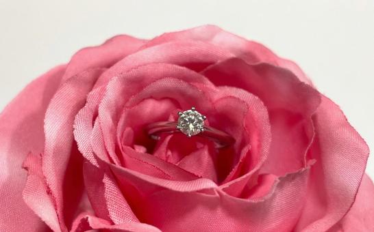 エンゲージリングとピンクローズ エンゲージリングとピンクローズ 婚約指輪,薔薇,エンゲージリングの写真素材