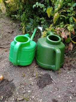 Photo, watering can, watering, vegetable garden, 