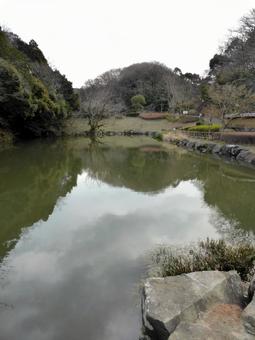 3月の鎌倉中央公園・上池の風景 3月の鎌倉中央公園・上池の風景の写真