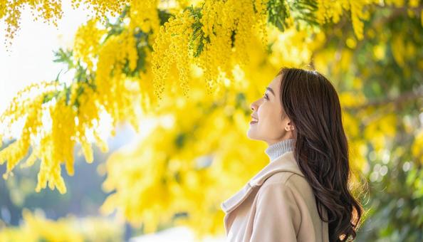 ミモザを鑑賞する日本人女性の写真