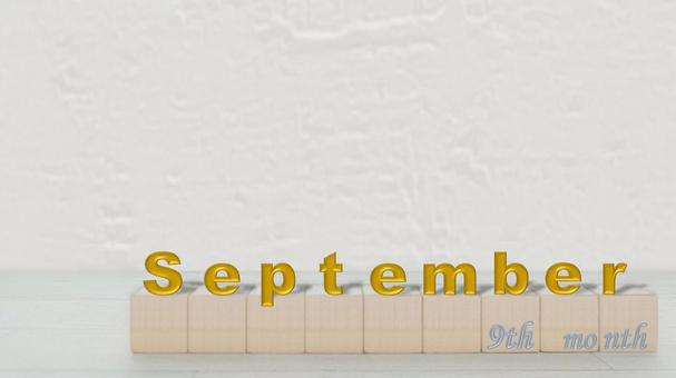 9月-2 9月-2の写真