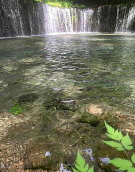 白糸の滝 白糸の滝 白糸の滝,自然,風景の写真素材