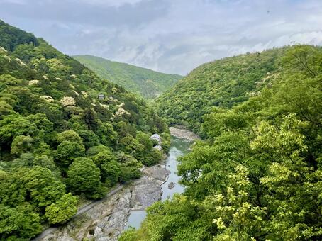 亀山から見下ろす初夏の嵐峡2 保津峡,嵐峡,桂川の写真素材