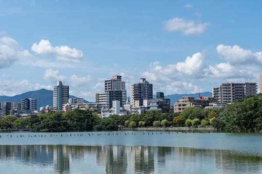 大濠公園と住宅街 大濠公園と住宅街 大濠公園,公園,博多の写真素材
