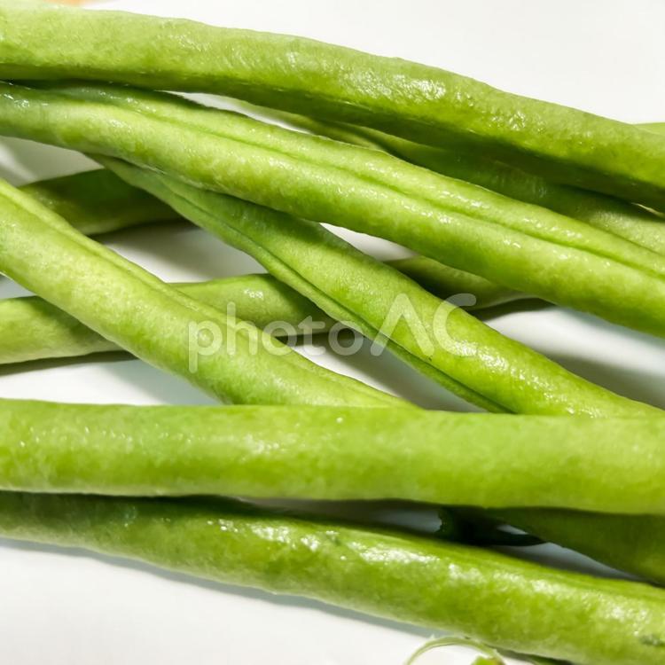 インゲン豆 インゲン,いんげん豆,豆の写真素材