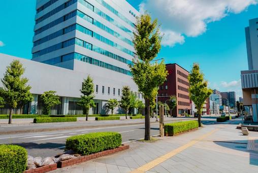 【鳥取】鳥取駅の周辺 鳥取駅,駅前,駅の写真素材