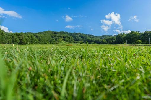 夏のスキー場 原山市民公園(高山市) 夏のスキー場 原山市民公園(高山市)の写真