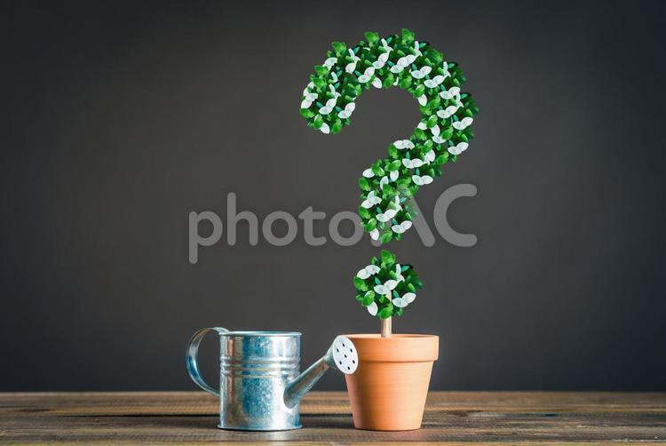 はてなマークをした植物とジョウロ 緑,植物,ビジネスの写真素材