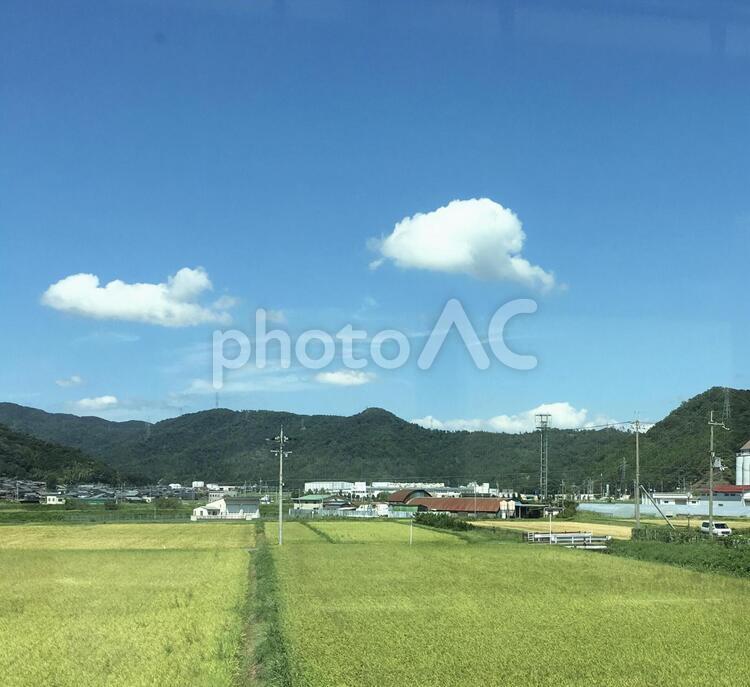 のどかな田園風景 風景,草,田舎の写真素材