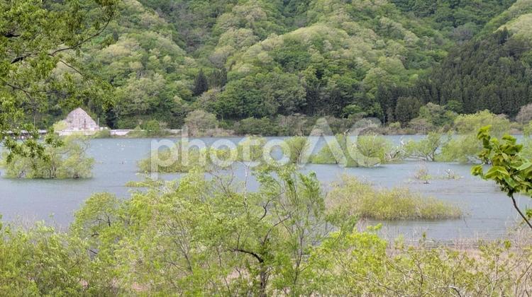 大倉ダム(仙台市) ダム,湖面,山の写真素材