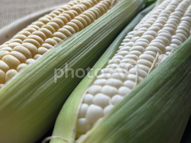 とうもろこし とうもろこし,野菜,皮付きの写真素材